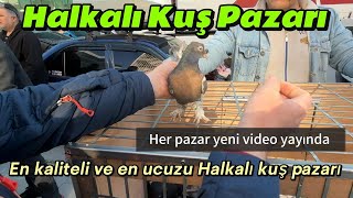 Burda İYİ KUşta UcuzHALKALI KUŞ PAZARI  Part 3 [upl. by Ramalahs]