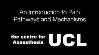 An Introduction to Pain Pathways and Mechanisms [upl. by Avie]