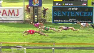 CapalabaWednesday29052024Race8 [upl. by Brockwell]