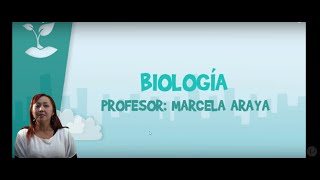 Biología  Clase Nº11  Aparato reproductor masculino [upl. by Melise]