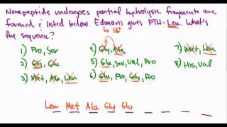 Amino Acids 29 Primary Protein Sequence Example Problem [upl. by Nothgierc]