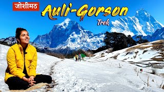 Auli Uttarakhand  Auli Tourist Places  Joshimath  Auli Gorson Bugyal Trek  Blue Poppy Resort [upl. by Immanuel]