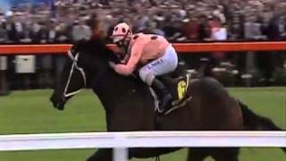 MV William Reid Stakes Black Caviar Promo video [upl. by Omero]