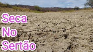 A seca no sertão nordestino e a falta de água nos açudes oque resta é barro e rachaduras no chão [upl. by Meuse]