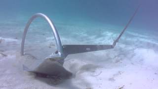 Mantus Anchor Underwater Video [upl. by Moulden]