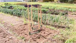 How to Aerate Your Soil [upl. by Ailis]