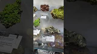 Case 1 Persson Rare Minerals 2024 Tucson Collection at The Mineral City Show [upl. by Lenroc292]