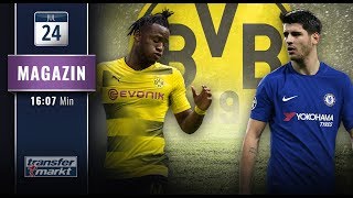 Batshuayi Morata amp Co So realistisch sind die vielen BVBGerüchte  TRANSFERMARKT [upl. by Melli]