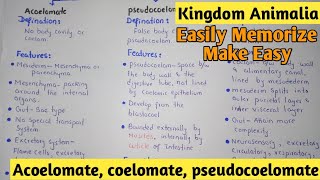 Acoelomate  Coelomate  Pdeudocoelomate  Kingdom Animalia  Class 11 [upl. by Naeruat]