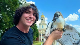 Rescuing amp Releasing a Redtailed Hawk Gone 𝓕𝓻𝓮𝓪𝓴𝔂🤓👆 Urban Rescue Ranch Lost Episode [upl. by Kentigerma]