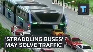 Straddling buses may solve traffic [upl. by Ecnatsnoc894]