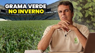 COMO DEIXAR a GRAMA VERDE no INVERNO [upl. by Germano]