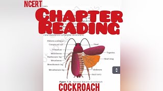 Cockroach Ch7 Class 11th biology ncert reading only [upl. by Esorrebma]