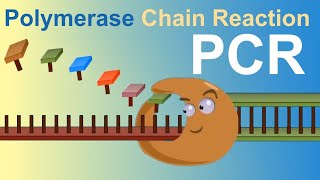 PCR  Polymerase Chain Reaction IQOGCSIC [upl. by Kenton]