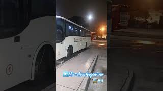 Omnibus bus microbuses colectivos [upl. by Esorylime]