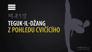 TAEGUK 1 JANG Tegukildžang Z POHLEDU CVIČÍCÍHO [upl. by Inek772]