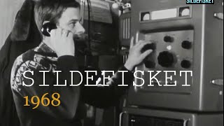 Sildefisket  1968 Fiskerne samler seg der de forventer at silda vil komme [upl. by Sherar43]