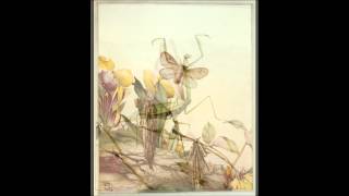 Beautiful Bugs Fabres Book of Insects [upl. by Leta602]