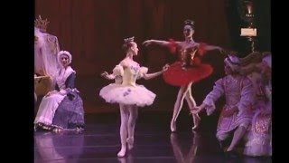 Canary Fairy  Tyler Donatelli 2012  Festival Ballet Theatres SLEEPING BEAUTY [upl. by Auoh652]