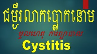 Cystitisជម្ងឺរលាកប្លោកនោម [upl. by Pillyhp]