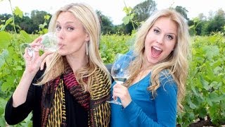 Napa Valley CA Travel Guide  quotGo or Noquot Review  Travel Guides  How 2 Travelers [upl. by Nosidda]