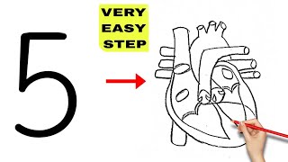 5 number turns into Human Heart Diagram drawing class 10 science biology [upl. by Animlehliw]