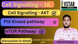 PI3 Kinase Pathway  PI3 Kinase AKT signalling pathway  PI3aktmTOR pathway [upl. by Aenat]