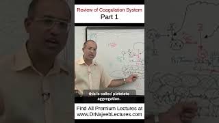 Review Of Coagulation System Part 1 drnajeeb drnajeeblectures shortvideo youtubeshorts [upl. by Luella368]