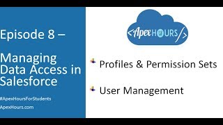 Who Sees What Permission Sets Salesforce Classic  Salesforce [upl. by Azer90]