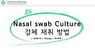 Nasal swab culture 검체 채취 방법 [upl. by Kurtzman]