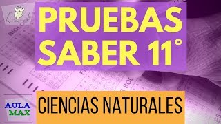 Pruebas Saber 11° en Ciencias Naturales ICFES 2017 [upl. by Esinwahs554]