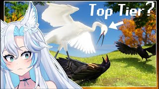 quotThe Bird Tier Listquot by TierZoo  SmugAlana Reacts [upl. by Calondra700]