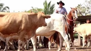 Soy Campesino  Milciades Sanabria Video Oficial 2018 [upl. by Mikal]