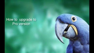 Callnote Tutorial How to Upgrade to Callnote Pro Version [upl. by Toulon489]