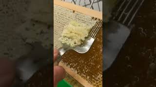 uncapping honeyHoney uncapping honey honeybee bee nature [upl. by Manheim714]