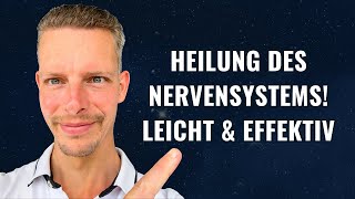 Heilung des Nervensystems für vollkommene Gesundheit Magnet für deine Ziele amp Wünsche machtvoll [upl. by Ellehsram107]