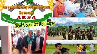 Rohingya Daily News Today 03 February 2019  صوت الحق  أخبارأراكان باللغة الروهنغيا [upl. by Derriey207]