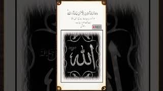 Almighty Allah  Allah ki qudratallah  shorts [upl. by Ayerim]