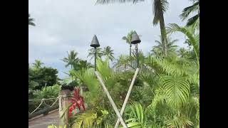 Outrigger beach resort fiji fijiisland outriggerresort outriggerfiji ytvideo yt beachresort [upl. by Tirrell]