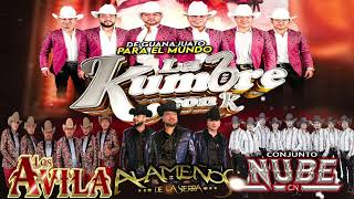 Los Avila La Kumbre Con K Los Alamenos Conjunto Nube  HUAPANGOS MIX 2024  MIX PARA BAILAR [upl. by Lettig]