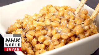 The Power of Natto a Japanese Superfood  Medical Frontiers [upl. by Inahpets281]