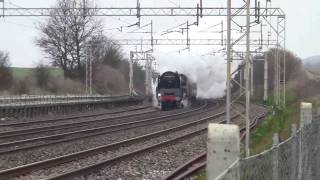 71000 Duke of Gloucester Nr Berkhamsted 5311 [upl. by Asselim]