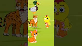 এটা কার ছানাBangla tuni pakhir cartoonMojar cartoonpakirgolpo shortsfeed [upl. by Mayrim]