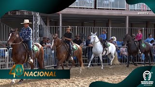 PROVAS SOCIAIS  40ª EXPOSIÇÃO NACIONAL [upl. by Anawot]