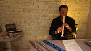 Flauta Doce  Recorder Flute Sopranino Soprano e Contralto  Ricardo De Mani [upl. by Rheba]