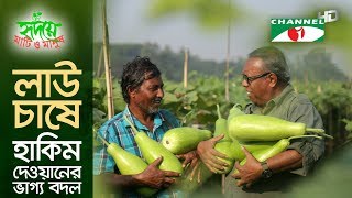 লাউ চাষে হাকিম দেওয়ানের ভাগ্য বদল  Shykh Seraj  Channel i  Bottle Gourd [upl. by Yvehc]