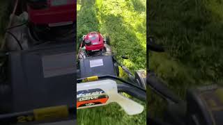 Honda gcv170 Attacks Tall Grass underrated mower [upl. by Keel519]