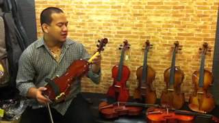 Hofner violin ราคาพิเศษ 3500 บาท [upl. by Merkle212]