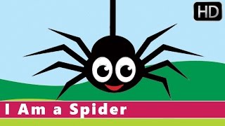 I Am A Spider  Fun Facts for Kids  Animation Nursery Rhyme for Kids [upl. by Melina564]