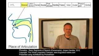 PHO106  Basic Segments of Speech Consonants [upl. by Hernardo]